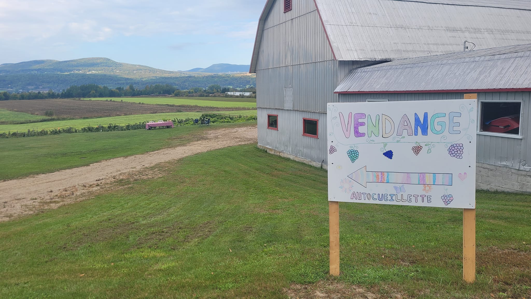 Autocueillette de raisins de table à Baie St Paul Baie Saint Paul Guide